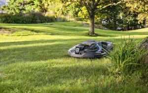 14 overvejelser før du køber en robotplæneklipper