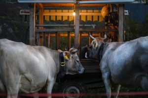 Skal der bygges til landbruget, kræver det faglig ekspertise på området