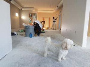 Gode råd til at overkomme renoveringen
